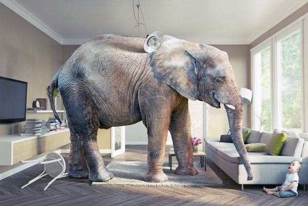 فیل بزرگ و بچه در اتاق نشیمن مفهوم ترکیب عناصر po و cg