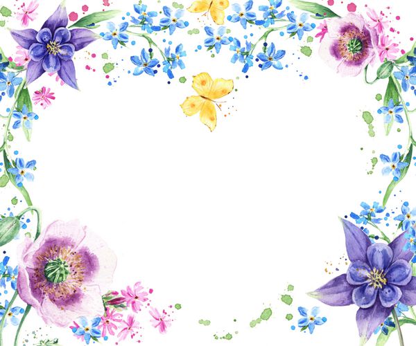 قاب قلب آبرنگ گل های چمنزار گیاهان پروانه پس زمینه تابستانی رنگارنگ با دست نقاشی شده است