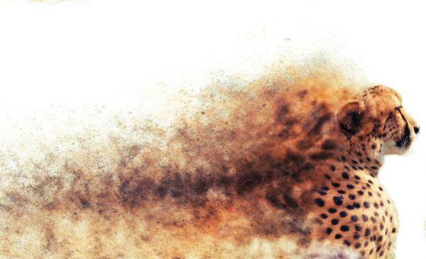 یوزپلنگ ساخته شده از گرد و غبار و شن - تصویر دیجیتال