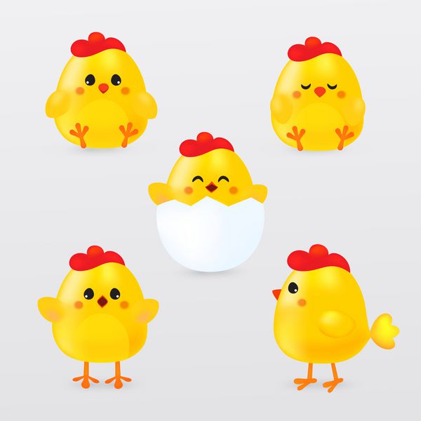 ست مرغ کارتونی زیبا جوجه های زرد خنده دار در موقعیت های مختلف