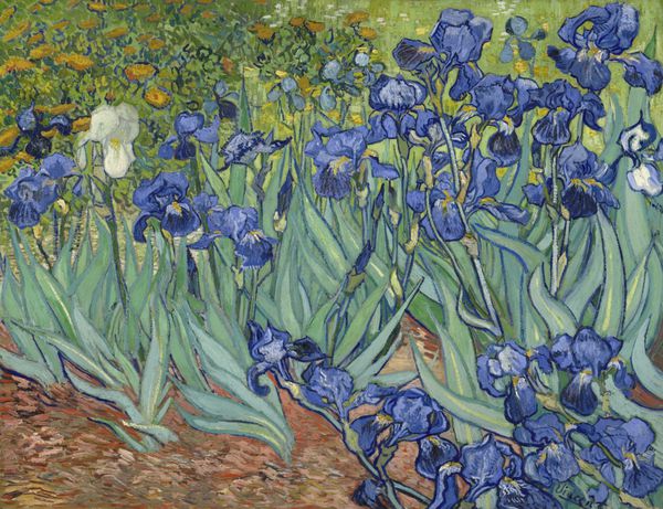 زنبق اثر ونسان ون گوگ 1889 نقاشی هلندی پست امپرسیونیسم رنگ روغن روی بوم ون گوگ این نقاشی را در باغ آسایشگاه در سنت رمی فرانسه در ماه مه 1889 نقاشی کرد ترکیب برش 1 بود