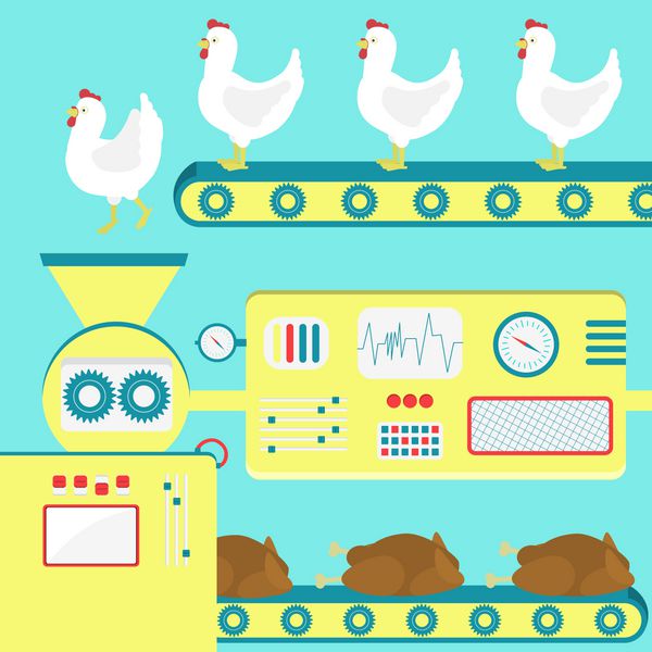 کارخانه تولید گوشت مرغ از مرغ زنده استعاره از یک کشتارگاه