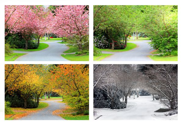 بهار تابستان پاییز و زمستان چهار فصل در یک خیابان و دقیقاً از همان مکان عکسبرداری شده است