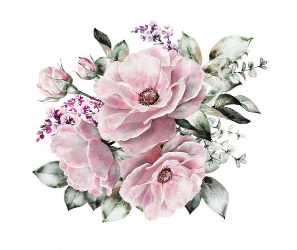 گل های آبرنگ تصاویر گل گل در رنگ های پاستلی رز صورتی شاخه گل ایزوله شده در پس زمینه سفید برگ و جوانه ها ترکیب زیبا برای عروسی یا کارت تبریک