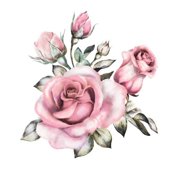گل های آبرنگ تصویر گل در رنگ های پاستلی رز صورتی شاخه گل ایزوله شده در پس زمینه سفید برگ و جوانه ها ترکیب زیبا برای عروسی دسته گل برای کارت تبریک