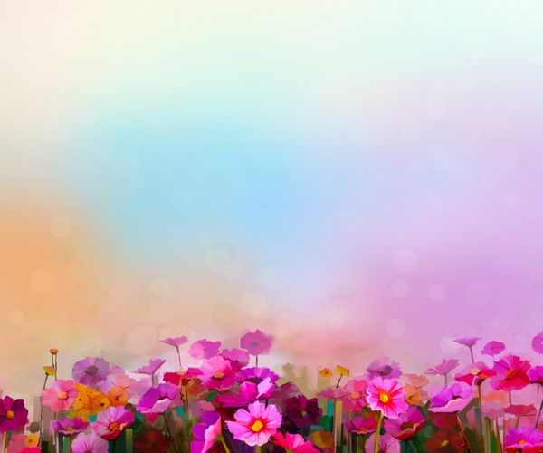 نقاشی رنگارنگ انتزاعی رنگ روغن قرمز گل کیهانی صورتی دیزی گل وحشی در مزرعه گل‌های وحشی تار در چمنزار با آسمان آبی ملایم بهار فصل تابستان پس زمینه طبیعت
