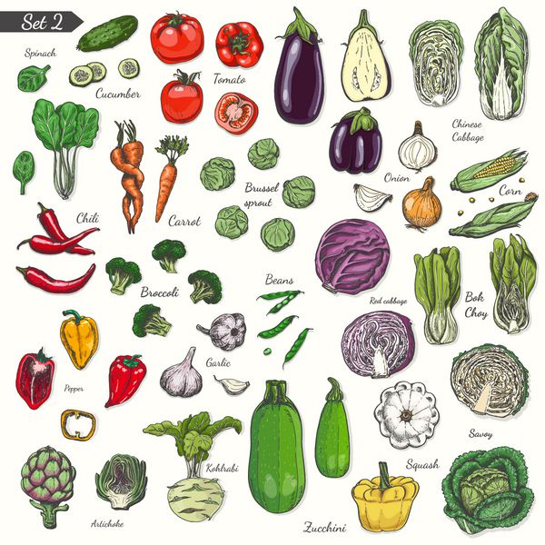 مجموعه بزرگ سبزیجات رنگی به سبک طرح وکتور برای طرح شما