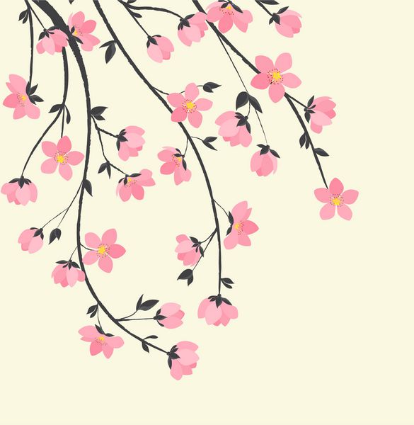 وکتور تزیین شاخه با گل ساکورا شکوفه بهاری