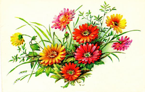 ussr - حدود 1988 کارت پستال چاپ شده در اتحاد جماهیر شوروی نشان می دهد طراحی توسط بودریهینا - دسته گل حدود 1988