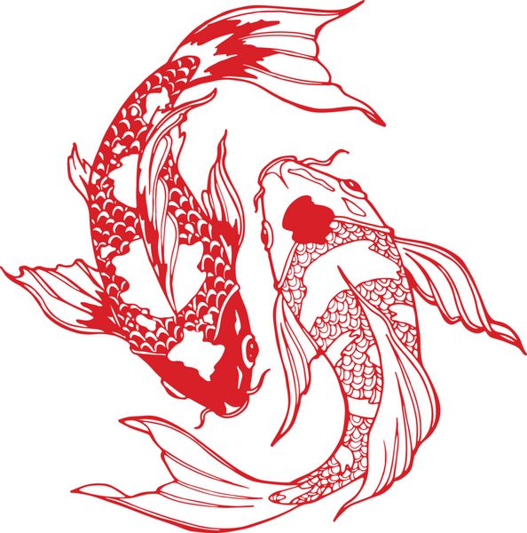 ماهی کوی نماد یانگ یانگ
