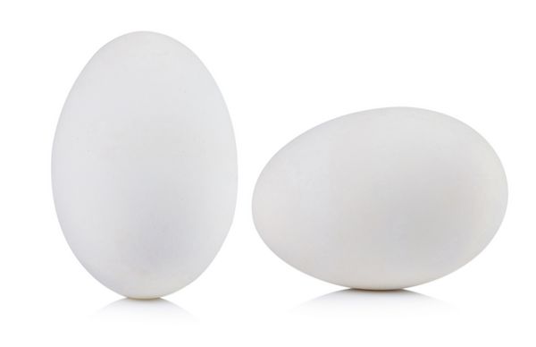 تخم مرغ در پس زمینه سفید