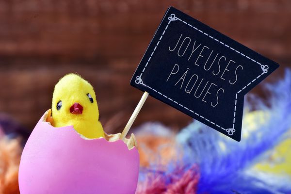 جوجه در حال ظهور از یک تخم مرغ و متن joyeuses paques عید مبارک