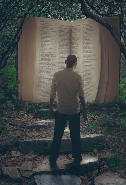 باز کردن کتاب مقدس در جنگل