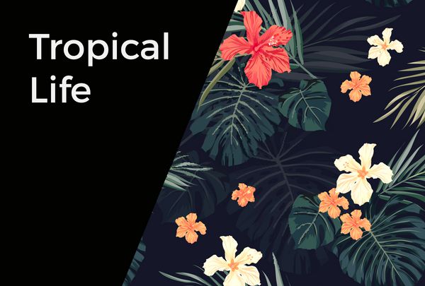 پس‌زمینه تابستانی گرمسیری هاوایی با برگ‌های درخت نخل و گل‌های عجیب و غریب