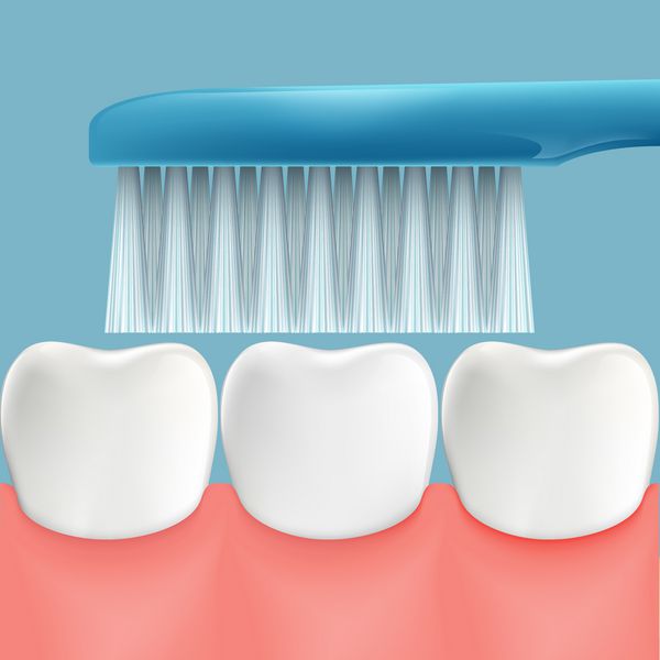 دندان انسان و مسواک بهداشت دهان وکتور سهام