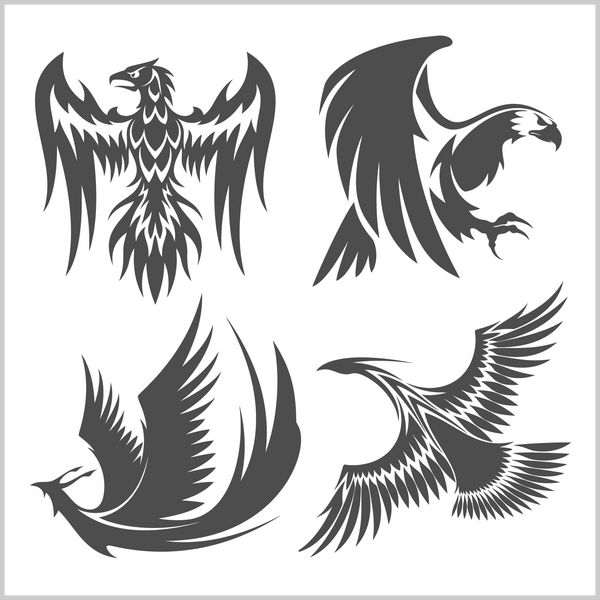 نمادهای لوگوی بردار عقاب پرنده طاووس و قرقاول که موقعیت‌های مختلف بال‌ها را در شبح سیاه برای طراحی هرالدیک یا خالکوبی نشان می‌دهد