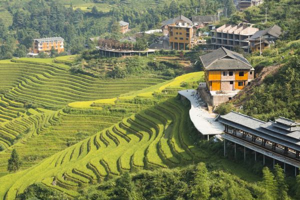 چشم انداز تراس های برنج کوه یاوشان گویلین چین در چین