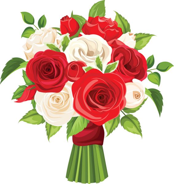 وکتور دسته گل رز قرمز و سفید جدا شده در پس زمینه سفید