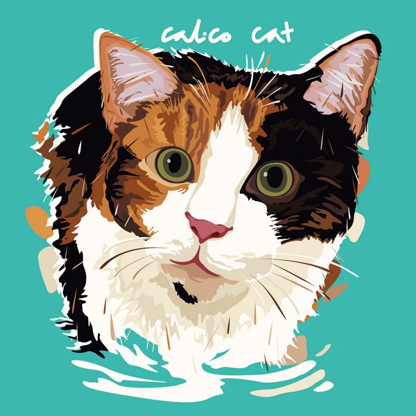 پوستر نقاشی گربه کالیکو