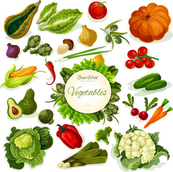 پوستر وکتور غذای گیاهی سبزیجات