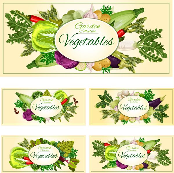 مجموعه بنرهای گیاهی سبزیجات سبزیجات سبزیجات