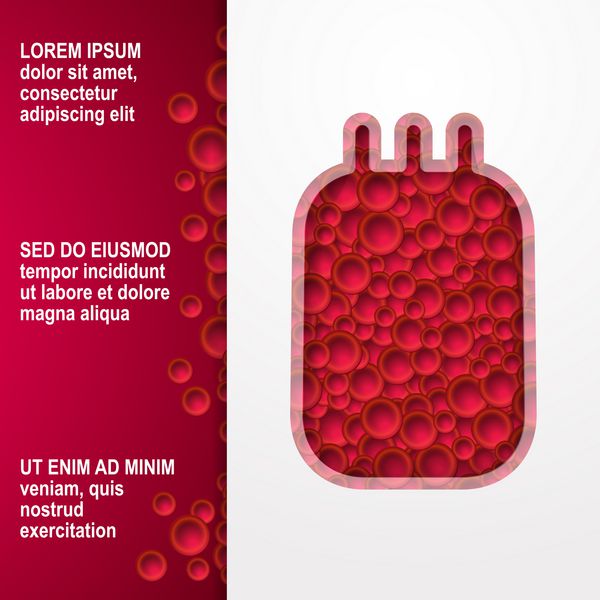 الگوی پوستر اهدای خون تصویر وکتور خون در کل بسته برای انتقال خون روی پس‌زمینه سفید گلبول‌های قرمز خون در پس‌زمینه قرمز با فضایی برای کتیبه هنر کاغذی