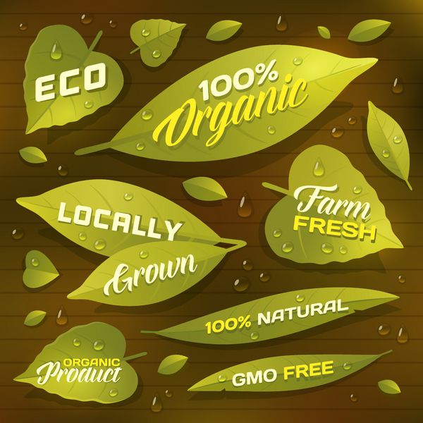 مجموعه ای از برگ های سبز تازه به عنوان برچسب نشان هایی برای محصولات طبیعی ارگانیک و محلی بسته بندی محصولات ارگانیک