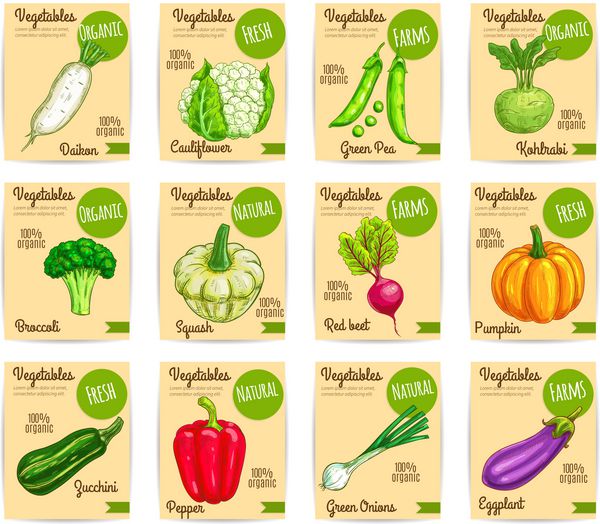 کارت سبزیجات تازه ارگانیک برچسب مجموعه برچسب قیمت