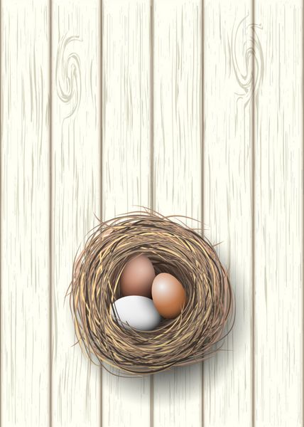 لانه با تخم مرغ طبیعی روی میز چوبی سفید تصویر