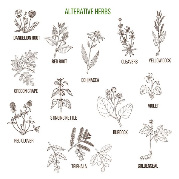 گیاهان جایگزین مجموعه ای از گیاهان دارویی طراحی شده با دست