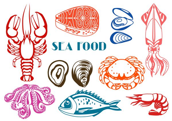 ست غذاهای دریایی متنوع تصویر ماهی صدف و سخت پوستان