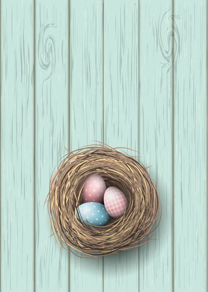 لانه با تخم مرغ های آبی و صورتی روی پس زمینه چوبی آبی تصویر