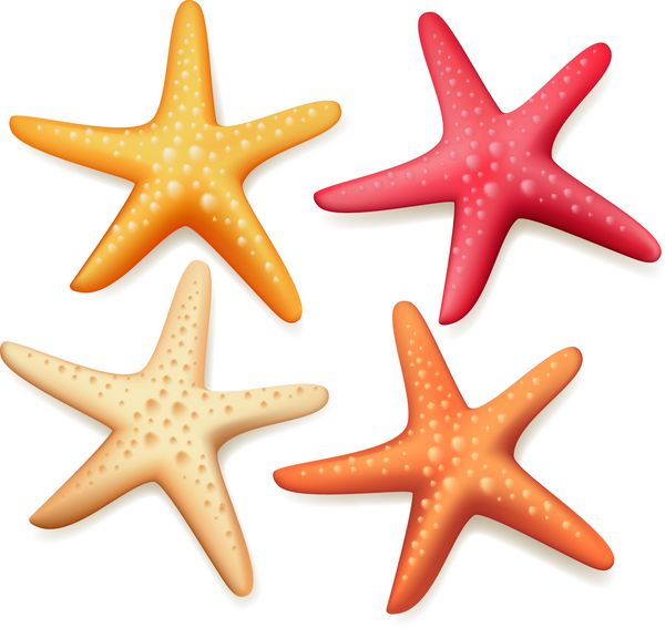 ستاره دریایی رنگارنگ واقع گرایانه در پس زمینه سفید