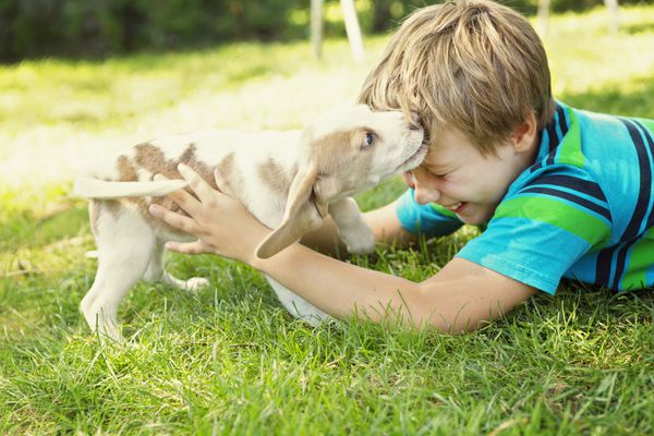 کودک با عشق سگ خانگی خود را در آغوش می گیرد