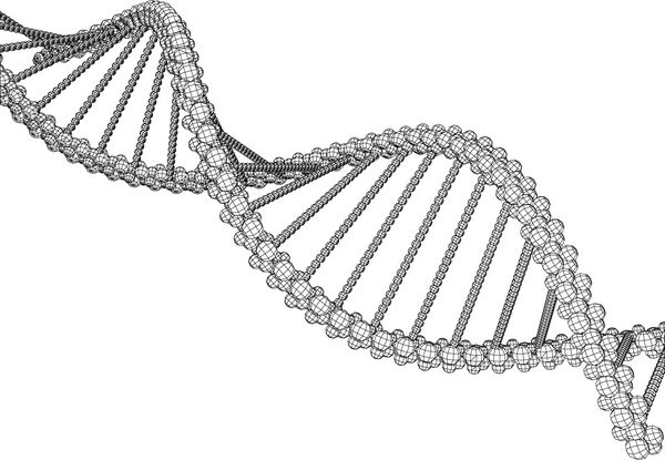 تصویر مولکول DNA