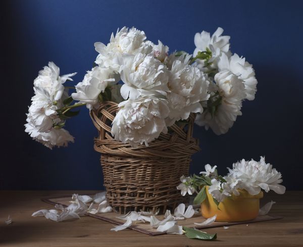طبیعت بی جان با گل صد تومانی های سفید در گلدان