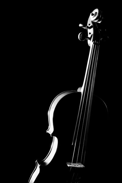سازهای موسیقی ویولن ارکستر جدا شده روی سیاه
