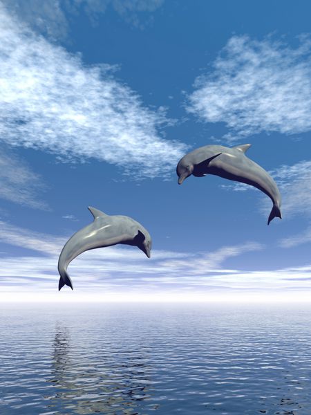 پرش دلفین ها و منظره زیبای دریا - صحنه سه بعدی
