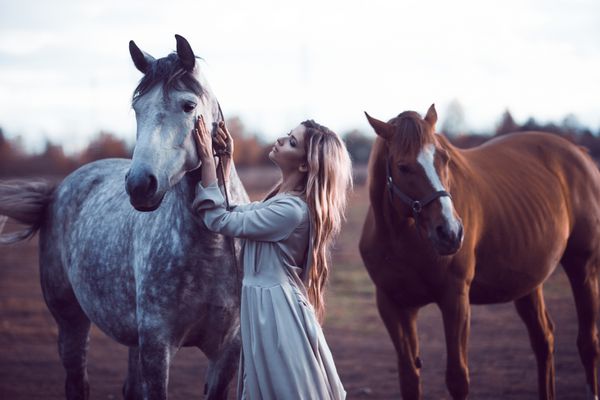 بلوندی زیبایی با اسب در مزرعه اثر تونینگ