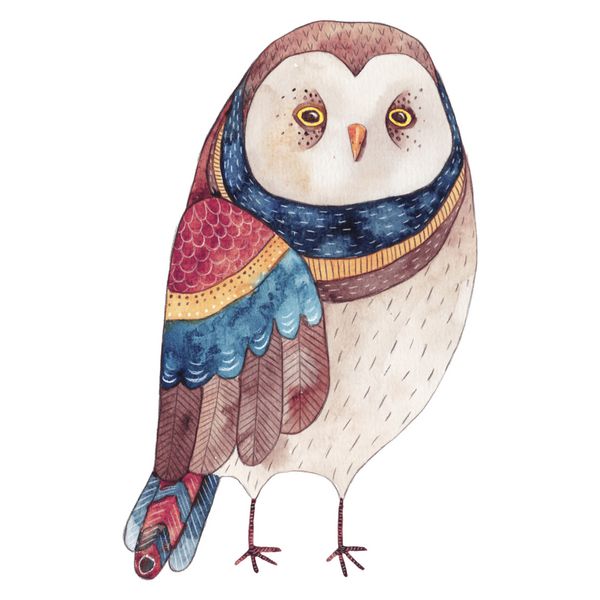 تصویر بچه های خنده دار آبرنگ با جغد نقاشی حیوانات با دست نقاشی پرنده جغد مناسب برای تی شرت کارت چاپ کارت پستال