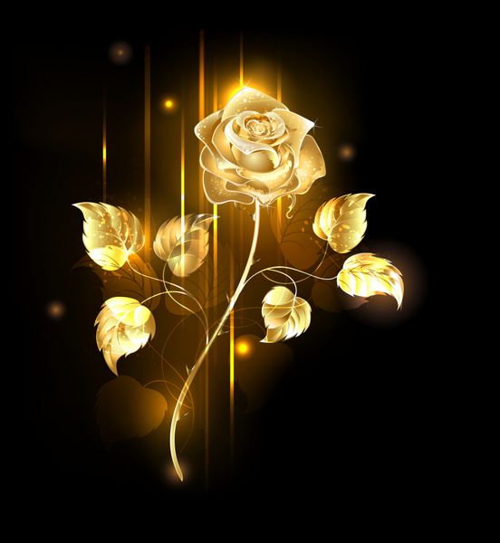 گل رز طلایی درخشان در زمینه مشکی طراحی با گل رز طلا رز شد
