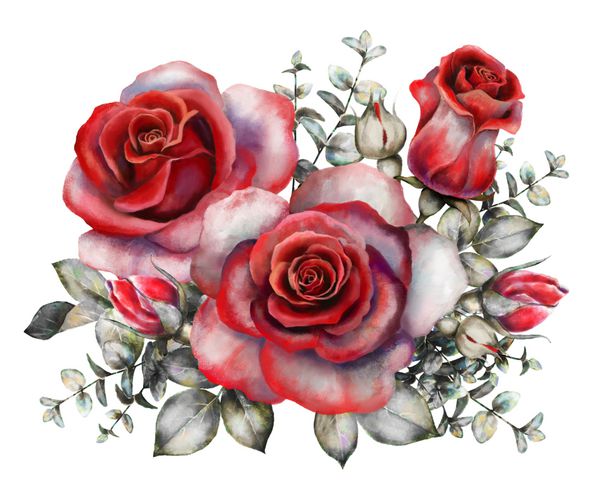 گل های آبرنگ تصویر گل عاشقانه رز قرمز شاخه گل ایزوله شده در پس زمینه سفید برگ و جوانه دسته گل ترکیب برای عروسی یا کارت تبریک