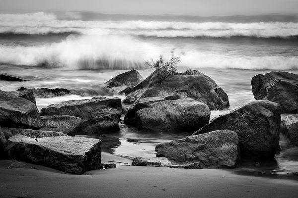 صخره ها در ساحل ساحل