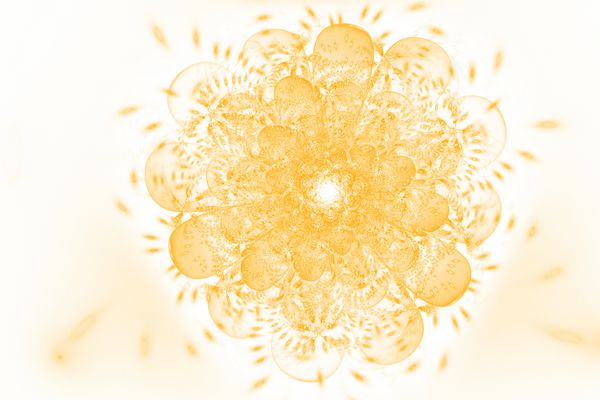 گل عجیب و غریب آتشین انتزاعی با جرقه های درخشان در پس زمینه سفید طرح فراکتال فانتزی در رنگ های نارنجی و طلایی هنر دیجیتال روانگردان رندر سه بعدی