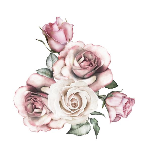 گل های آبرنگ تصویر گل - رز صورتی شاخه گل ایزوله شده در پس زمینه سفید برگ و جوانه ترکیب زیبا برای عروسی یا کارت تبریک
