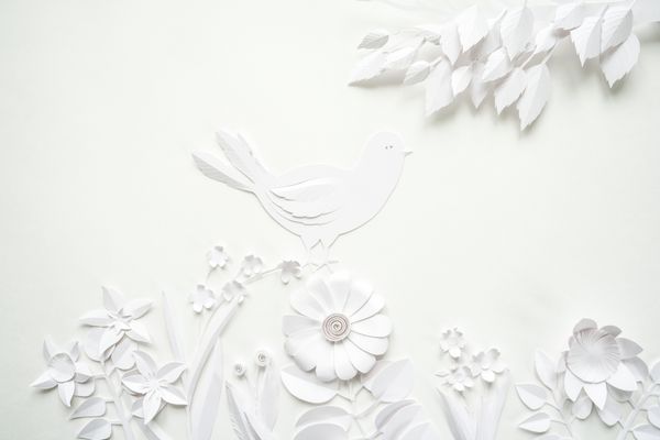 کاغذ دیواری گل کاغذی سفید در پس زمینه سفید پس زمینه بهار تابستان عناصر طراحی گل