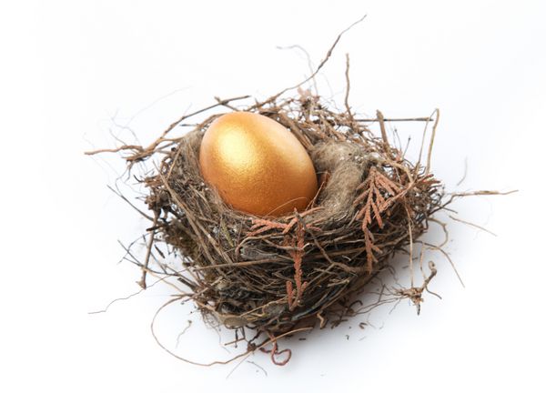 عید پاک تخم مرغ آشیانه بازنشستگی