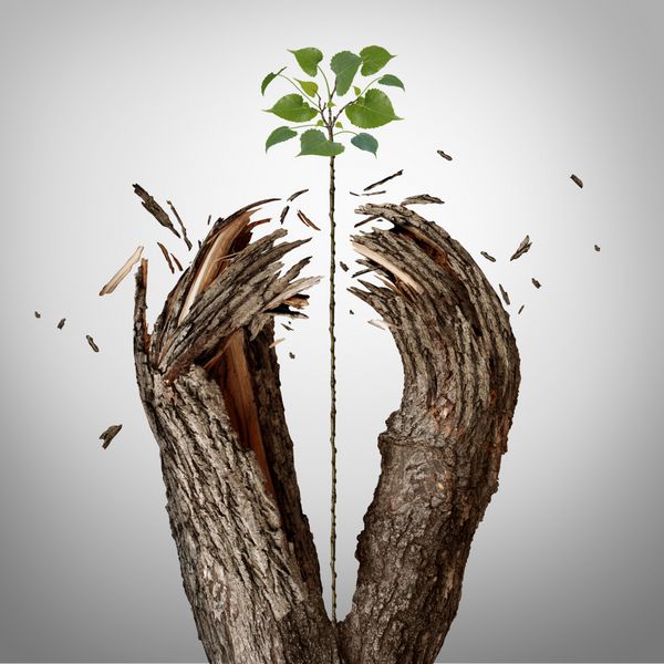 شکستن مفهوم به عنوان یک نهال سبز که به سمت بالا رشد می کند و از بین بردن مانع درخت به عنوان استعاره موفقیت تجاری برای جاه طلبی بالقوه و اراده قوی برای موفقیت