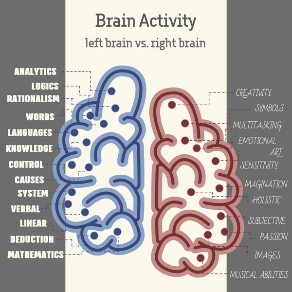 وکتور اینفوگرافیک فعالیت نیمکره های مغز نیمکره راست در برابر نیمکره چپ چپ مغز در مقابل مغز راست گرافیک اطلاعات منحصر به فرد به طور کامل با متن پر شده است