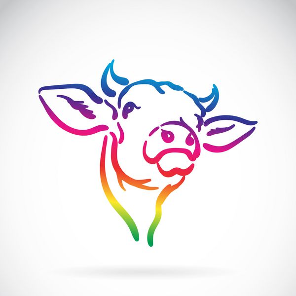 وکتور لوگوی گاو در زمینه سفید طراحی حیوانات